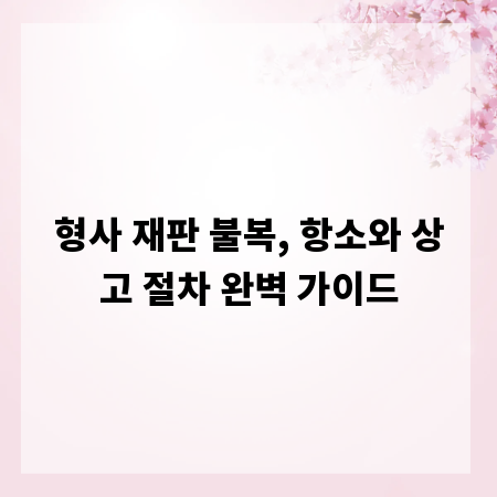 형사 재판 불복, 항소와 상고 절차 완벽 가이드