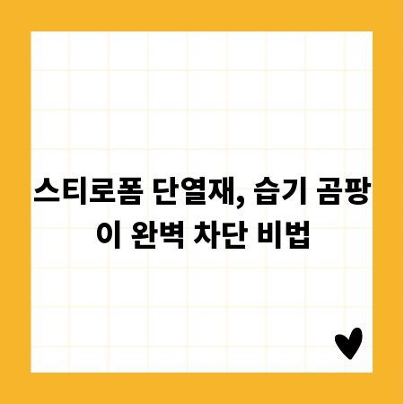 스티로폼 단열재, 습기 곰팡이 완벽 차단 비법