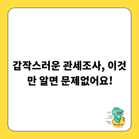 갑작스러운 관세조사, 이것만 알면 문제없어요!