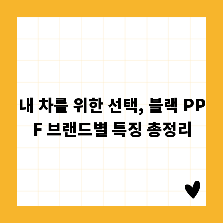 내 차를 위한 선택, 블랙 PPF 브랜드별 특징 총정리
