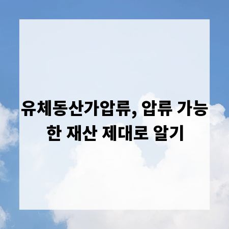 유체동산가압류, 압류 가능한 재산 제대로 알기