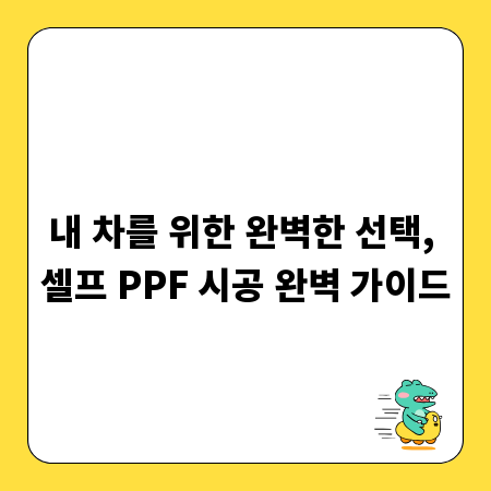내 차를 위한 완벽한 선택, 셀프 PPF 시공 완벽 가이드