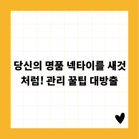 플랫폼별 공략법: 유튜브 틱톡 인스타 영상 트렌드 분석