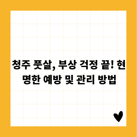 청주 풋살, 부상 걱정 끝! 현명한 예방 및 관리 방법