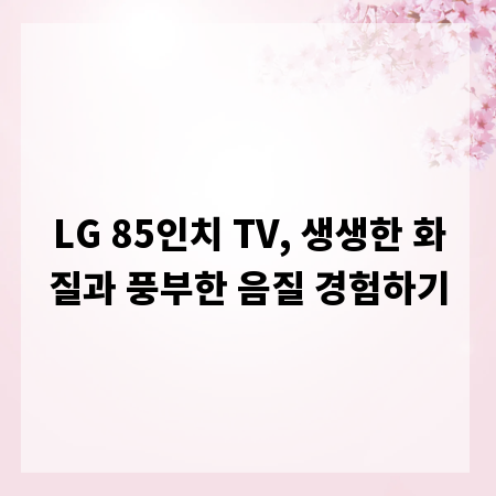 LG 85인치 TV, 생생한 화질과 풍부한 음질 경험하기