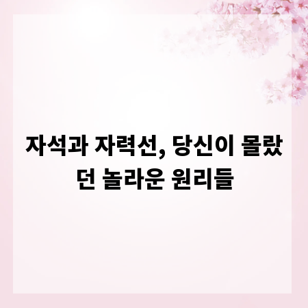 자석과 자력선, 당신이 몰랐던 놀라운 원리들