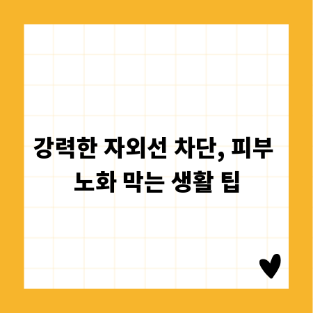강력한 자외선 차단, 피부 노화 막는 생활 팁