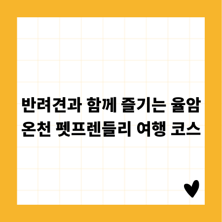 무사시 스트레이트, 당신의 궁금증을 시원하게 해결해드립니다