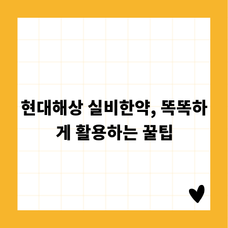 현대해상 실비한약, 똑똑하게 활용하는 꿀팁