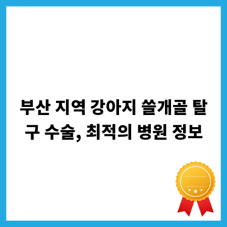 부산 지역 강아지 쓸개골 탈구 수술, 최적의 병원 정보