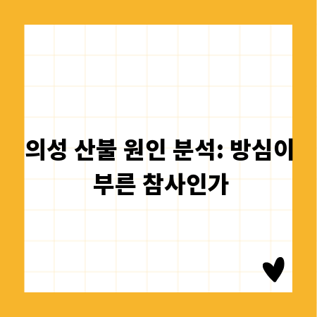 의성 산불 원인 분석: 방심이 부른 참사인가