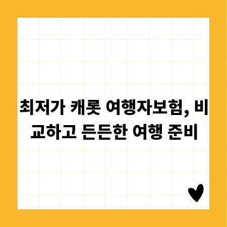 최저가 캐롯 여행자보험, 비교하고 든든한 여행 준비