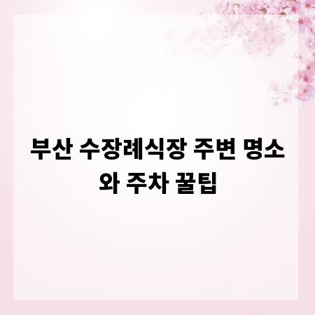 부산 수장례식장 주변 명소와 주차 꿀팁