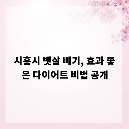 시흥시 뱃살 빼기, 효과 좋은 다이어트 비법 공개