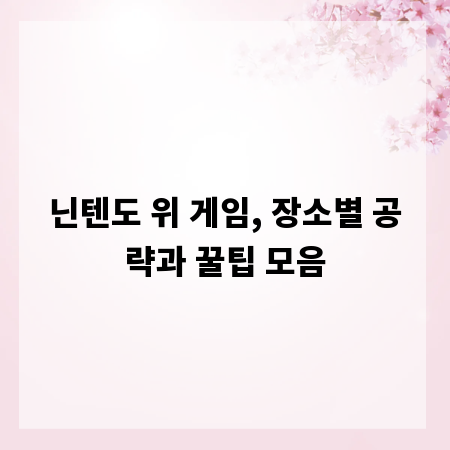닌텐도 위 게임, 장소별 공략과 꿀팁 모음
