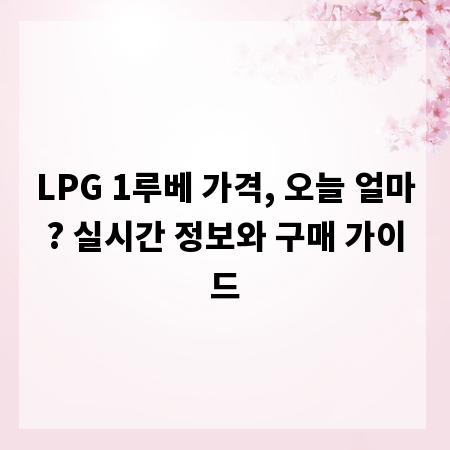 LPG 1루베 가격, 오늘 얼마? 실시간 정보와 구매 가이드