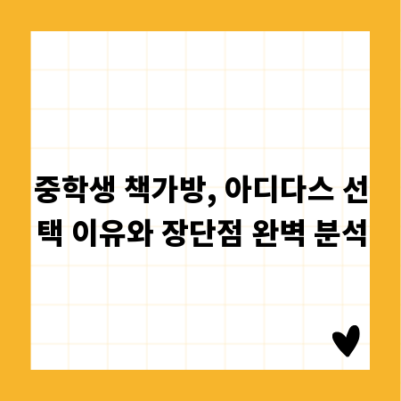 중학생 책가방, 아디다스 선택 이유와 장단점 완벽 분석