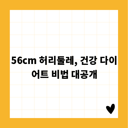 56cm 허리둘레, 건강 다이어트 비법 대공개