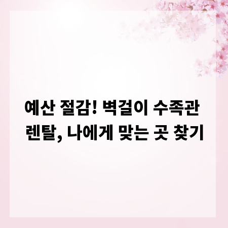 예산 절감! 벽걸이 수족관 렌탈, 나에게 맞는 곳 찾기