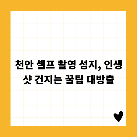 천안 셀프 촬영 성지, 인생샷 건지는 꿀팁 대방출