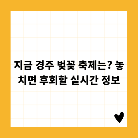 지금 경주 벚꽃 축제는? 놓치면 후회할 실시간 정보