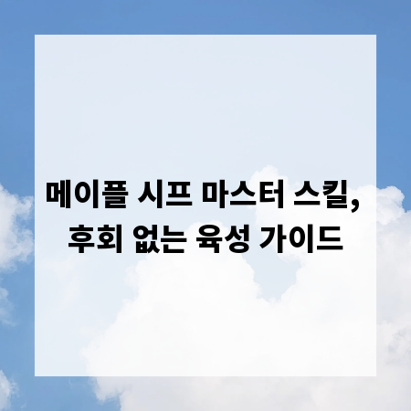 메이플 시프 마스터 스킬, 후회 없는 육성 가이드