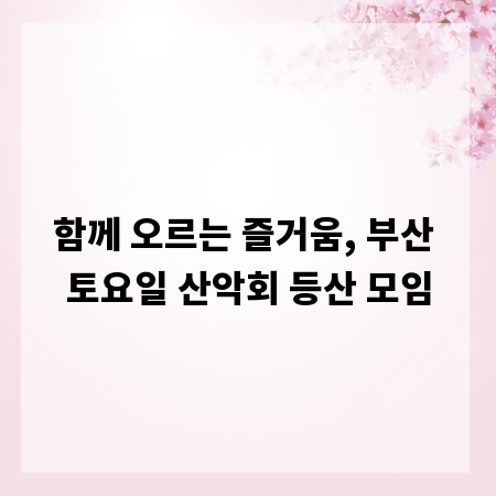 함께 오르는 즐거움, 부산 토요일 산악회 등산 모임