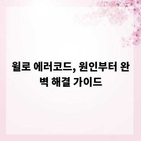 윌로 에러코드, 원인부터 완벽 해결 가이드