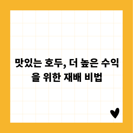 맛있는 호두, 더 높은 수익을 위한 재배 비법