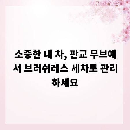 소중한 내 차, 판교 무브에서 브러쉬레스 세차로 관리하세요