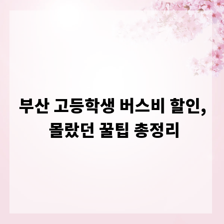 부산 고등학생 버스비 할인, 몰랐던 꿀팁 총정리