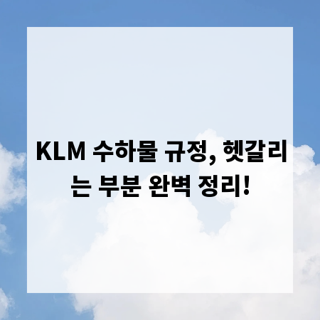 KLM 수하물 규정, 헷갈리는 부분 완벽 정리!