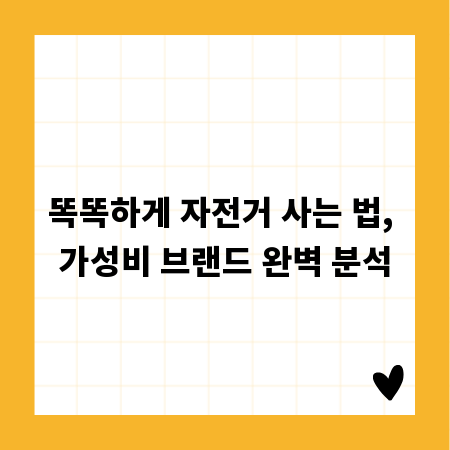 똑똑하게 자전거 사는 법, 가성비 브랜드 완벽 분석