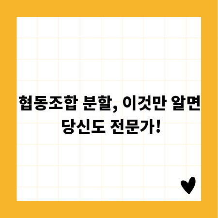 협동조합 분할, 이것만 알면 당신도 전문가!