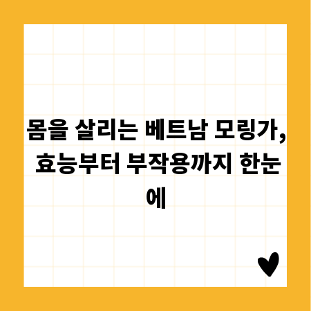 몸을 살리는 베트남 모링가, 효능부터 부작용까지 한눈에