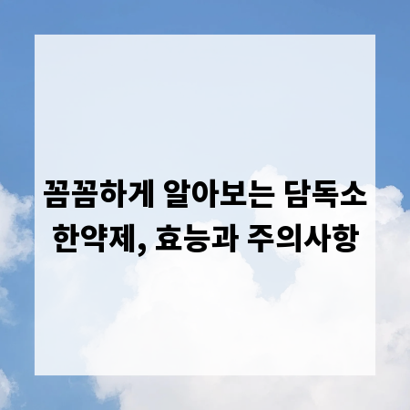 꼼꼼하게 알아보는 담독소한약제, 효능과 주의사항