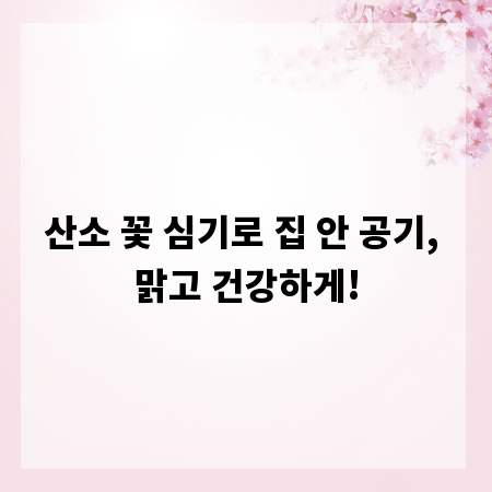 산소 꽃 심기로 집 안 공기, 맑고 건강하게!