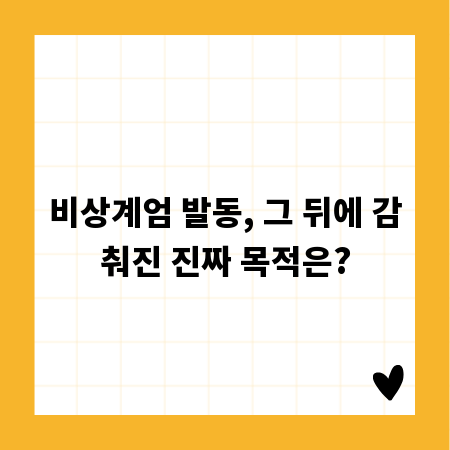 비상계엄 발동, 그 뒤에 감춰진 진짜 목적은?