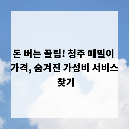 돈 버는 꿀팁! 청주 때밀이 가격, 숨겨진 가성비 서비스 찾기