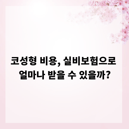 코성형 비용, 실비보험으로 얼마나 받을 수 있을까?