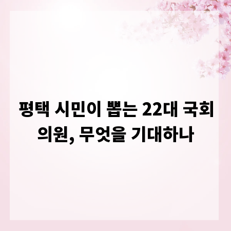 평택 시민이 뽑는 22대 국회의원, 무엇을 기대하나