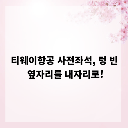 티웨이항공 사전좌석, 텅 빈 옆자리를 내자리로!