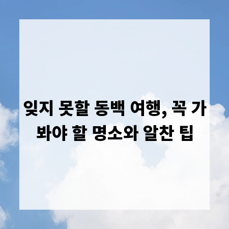 잊지 못할 동백 여행, 꼭 가봐야 할 명소와 알찬 팁