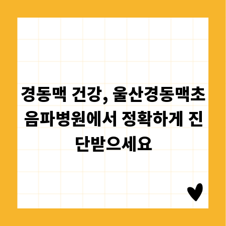 경동맥 건강, 울산경동맥초음파병원에서 정확하게 진단받으세요