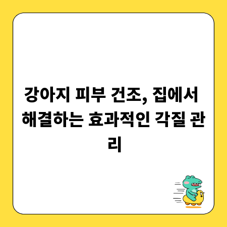 강아지 피부 건조, 집에서 해결하는 효과적인 각질 관리