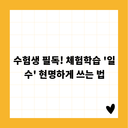 수험생 필독! 체험학습 '일수' 현명하게 쓰는 법