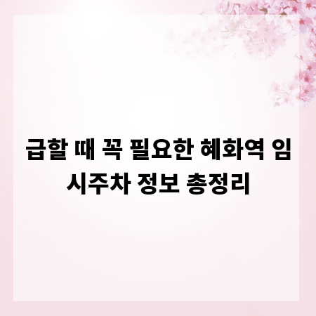 급할 때 꼭 필요한 혜화역 임시주차 정보 총정리