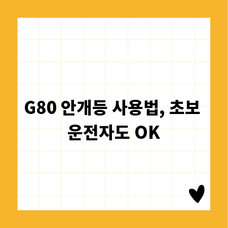 G80 안개등 사용법, 초보 운전자도 OK