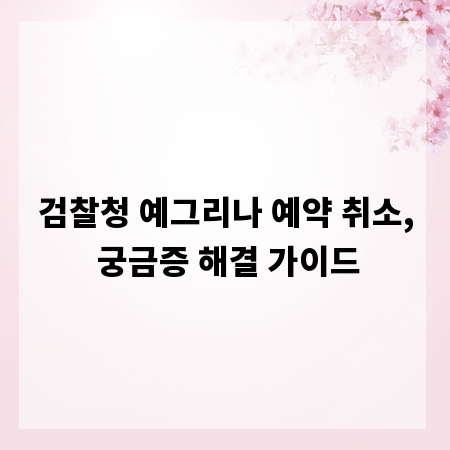 검찰청 예그리나 예약 취소, 궁금증 해결 가이드