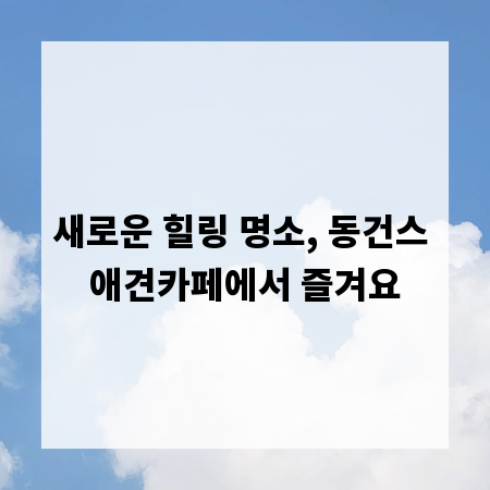 새로운 힐링 명소, 동건스 애견카페에서 즐겨요